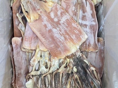 海产干货 水产干货批发 微咸干鱿鱼 鱿鱼干 鱿鱼图4