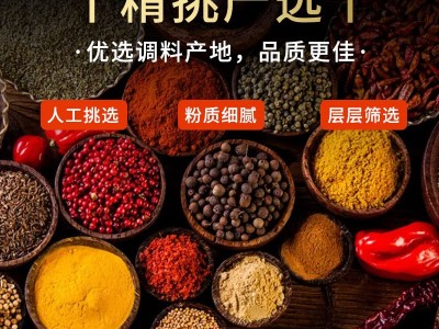 批发瓶装调味料调料粉蘸料孜然粉椒盐撒料商用白胡椒粉小吃烧烤料图3