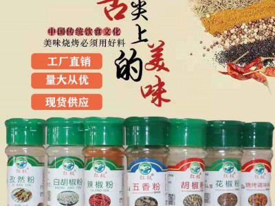 厂家销售花椒粉辣椒粉孜然粉黑胡椒粉白胡椒粉烧烤料五香粉椒盐粉图2