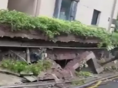 大种狮头鹅苗 大白鲨鹅苗 马岗鹅苗 活体禽苗包送图3