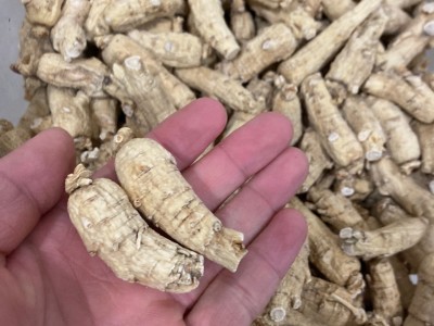 500g西洋参整枝 长白山花旗参段正品10克西洋参图2