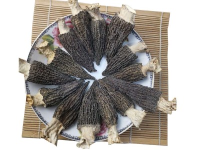 产地专业批发七彩菌汤包250g羊肚菌带柄4公分以上 干货人工养殖丛图5