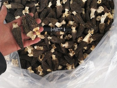 产地专业批发七彩菌汤包250g羊肚菌带柄4公分以上 干货人工养殖丛图3