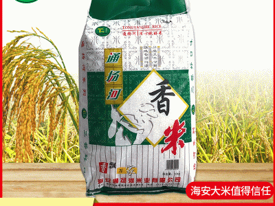 一级海安香米 口感软糯气味清香大米 厂家供应量大从优图2