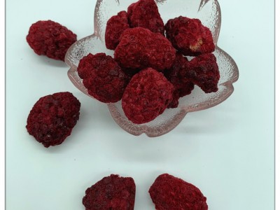 批发FD冻干黑莓 食品烘焙原料 厂家直销冻干黑莓颗粒图5