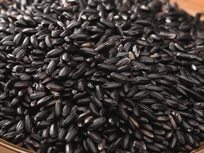 有机黑米现磨豆浆五谷磨粉原料熟五谷杂粮黑香米批发食品级袋装袋图2