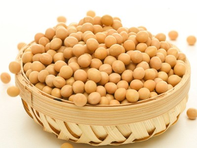 供应东北大豆 农家自产粗粮黄豆 五谷杂粮豆浆豆腐原料散装批发图4