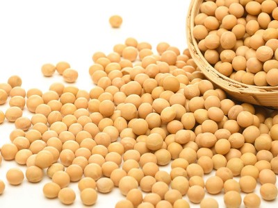 供应东北大豆 农家自产粗粮黄豆 五谷杂粮豆浆豆腐原料散装批发图3