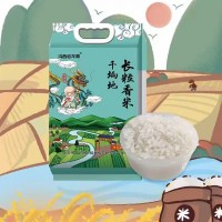 新米小袋真空包装10斤包邮东北特产五常长粒香米现磨现发大米批发