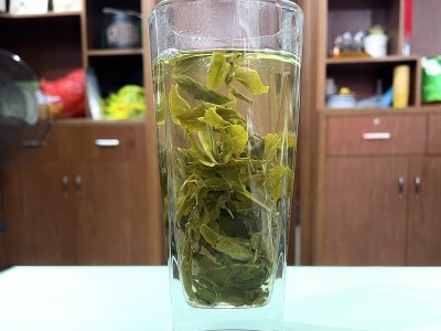 新茶 茉莉龙珠 广西横县茉莉花茶 浓香型花茶叶绣球散装批发图2