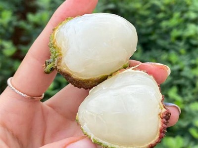 【顺丰为主 广东妃子笑荔枝】 非白糖罂非龙眼5斤新鲜水果一件代图2