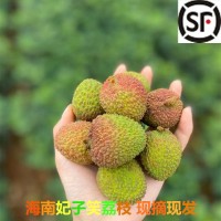 【顺丰为主 广东妃子笑荔枝】 非白糖罂非龙眼5斤新鲜水果一件代