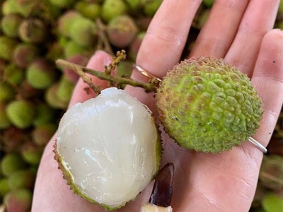 【顺丰为主 广东妃子笑荔枝】 非白糖罂非龙眼5斤新鲜水果一件代图3