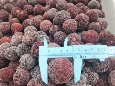 厂家直销出口品质杨梅水果果肉整箱蛋糕烘焙原料大份量商用图3