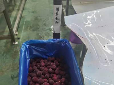 厂家直销出口品质杨梅水果果肉整箱蛋糕烘焙原料大份量商用图5