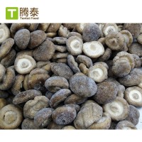 大批量现货厂家直供808速冻香菇圆 冷冻香菇丝