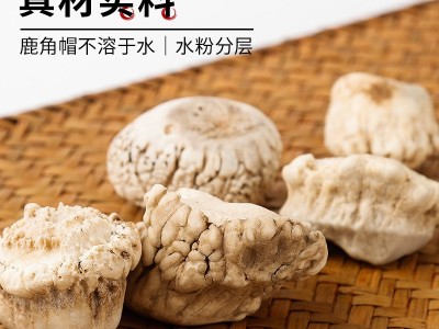鹿角帽正品长白山产地鹿角鹿托盘吉林鹿乡梅花鹿角帽图3