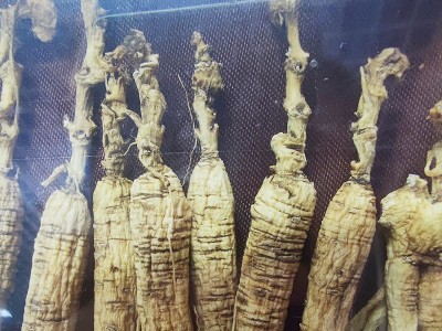 长白山人参东北特产5-8年林下参籽货透明礼盒泡酒料图3