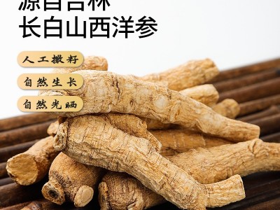 500g长白山西洋参整根批发礼盒花旗参粒头整枝切片正品西洋叁段粉图4