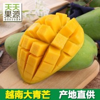 产地直供 越南大青芒9斤装金煌芒大青 芒果当季水果一件代发