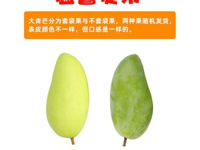 产地直供 越南大青芒9斤装金煌芒大青 芒果当季水果一件代发图4