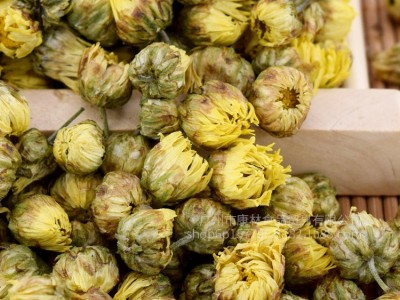 产地正宗桐乡优质胎菊散装菊花茶不硫杭白菊胎菊王新货批发500g起图3