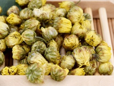 产地正宗桐乡优质胎菊散装菊花茶不硫杭白菊胎菊王新货批发500g起图2