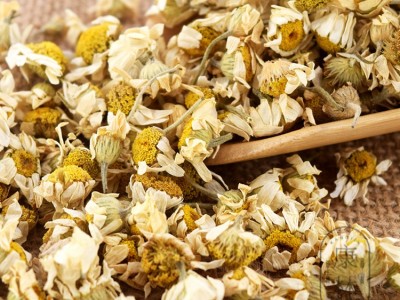 广东货源洋甘菊花果茶量大价优罗马洋甘菊茶散货500克起批菊花茶图4