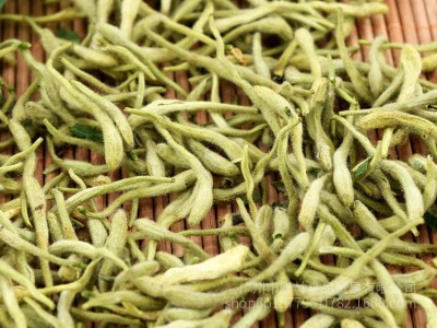 直销优质金银花 花茶散装批发金银花花草茶河南封丘金银花500克起图5