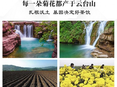 怀明堂 冰菊花礼盒28朵图4