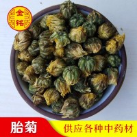 厂家花草茶桐乡胎菊 菊花 散装 批发供应胎菊茶泡茶