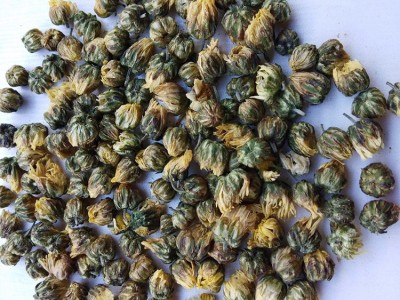 厂家花草茶桐乡胎菊 菊花 散装 批发供应胎菊茶泡茶图4