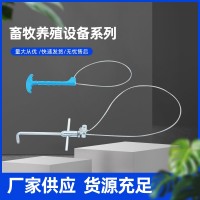 猪用保定器 套猪器 不锈钢猪套子套定器 铜管猪打针保定绳 保定器