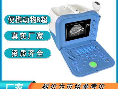 兽用B超机 凯尔便携手提动物超声 猪牛羊马等牲畜猫狗等小动物图2