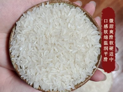 广西大米玉林特产厂家直批发高山香粘新米年会年货真空袋装2.5kg图3