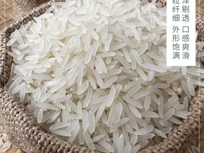 广西大米玉林特产厂家直批发玉桥丝香米新米年年货真空袋装1kg图2