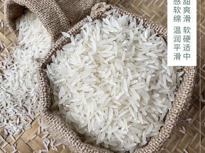 广西大米玉林特产厂家直批发玉桥丝香米新米年年货真空袋装1kg图3
