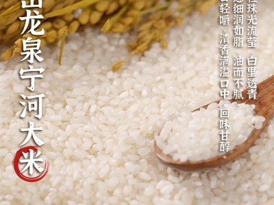 岳龙泉宁河大米香甜软糯天津小站新米中长粒珍珠米500g真空盒装图2