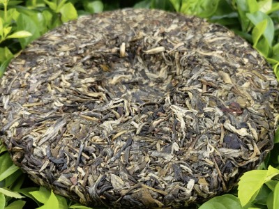 普洱茶原产地勐海茶厂直批昔归头春古树357克普洱生茶饼一 件代发图3