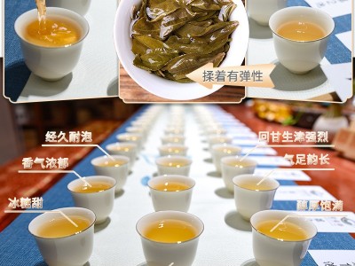 10年云南普洱茶熟茶礼盒装20棵龙珠老树熟普小坨陈香普洱老茶批发图5