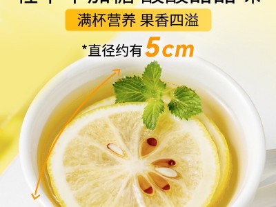 柠檬片罐装40克 精选冻干柠檬片冷泡夏季水果茶 厂家批发一件代发图4