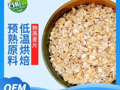 工厂直供智利燕麦片即食代餐商用大包装批发水果坚果燕麦片原料图2