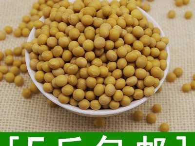 东北小黄豆可发芽黄豆打豆浆500g批发 部分地区5斤包邮图4