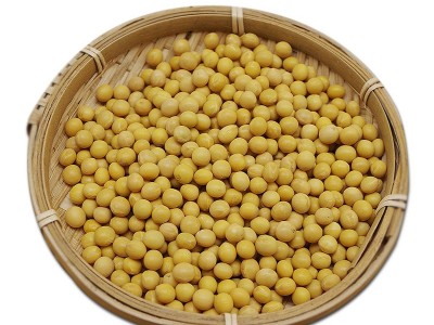 东北小黄豆可发芽黄豆打豆浆500g批发 部分地区5斤包邮图5
