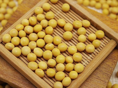 东北小黄豆可发芽黄豆打豆浆500g批发 部分地区5斤包邮图3