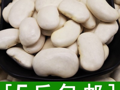 白芸豆500克农家新鲜大白豆扁豆腰豆白肾豆煲汤煮粥五谷杂粮粗粮图3