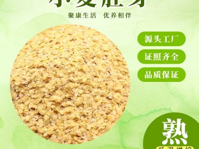 厂家批发散装低温烘焙熟小麦胚芽 磨粉代餐原料营养丰富即食早餐图3