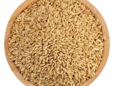 燕麦米250克五谷杂粮粗粮八宝粥原料胚芽燕麦厂家直供图5