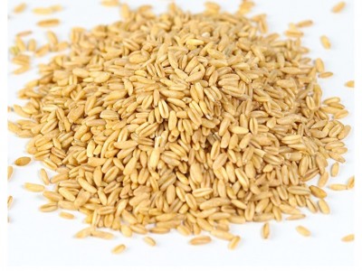 燕麦米250克五谷杂粮粗粮八宝粥原料胚芽燕麦厂家直供图2