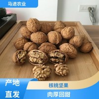 手工挑选 核桃坚果 产地直发 马进农业种植合作社